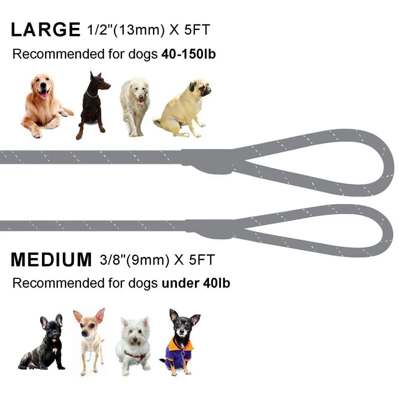 product-800-800