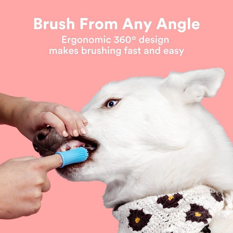 product-800-800 product-800-800