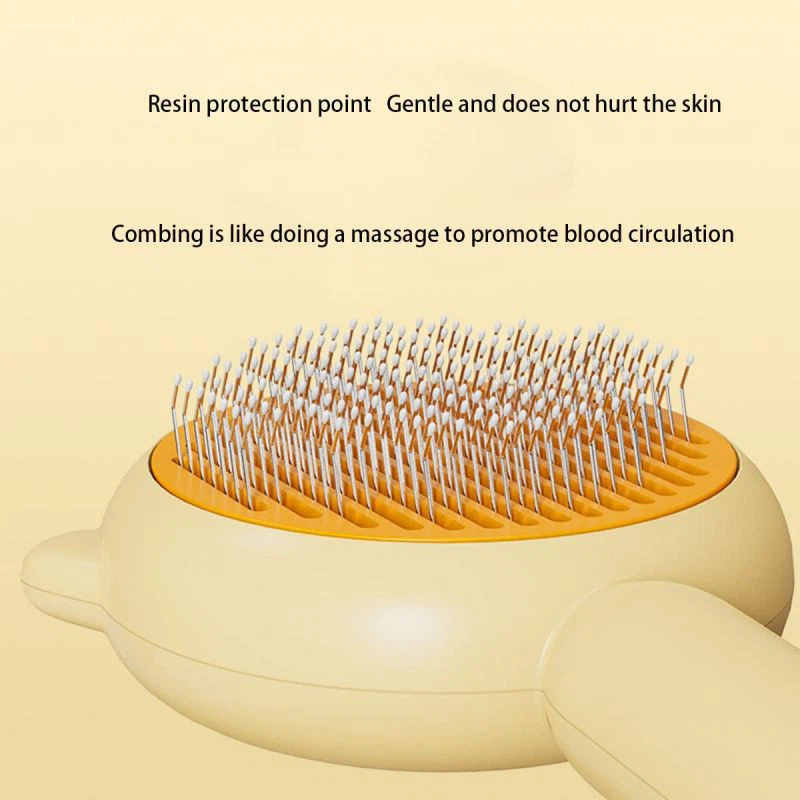 product-800-800