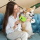 Brosse pour animaux de compagnie