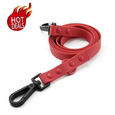 Laisse pour chien en biothane